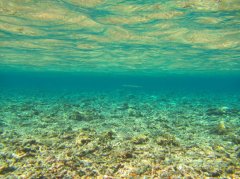 <b>�󺣴�����Ǳˮ�͸�Ǳ����ԭ��ͷ���</b>