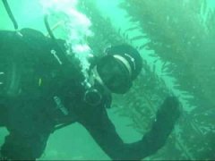 �����Ľ�ѵ��������