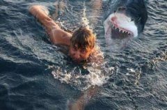 <b>����ҧ��һ��ֻҧһ�ڲ�����ҧ�ڶ��ڣ����������</b>