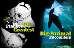 ׼����������������36����������ż�����ϣ�