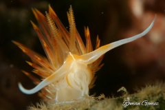 <b>ˮ����Ӱ΢������64��</b>