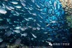 ���޲�Ϊ��֪���������� – Broughton Island, NSW, Austra