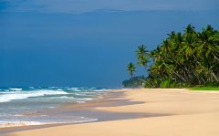 ����ǩ֤���������ȣ�˹���������й���