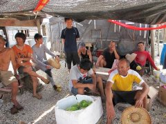 ����ɳӡ��֮Ѽ����