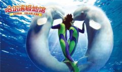 ���κ��� ����11�������԰