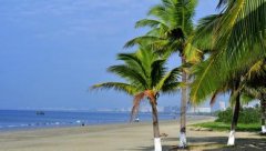 ���ǡ���֮�á���4��Ǳˮ��λΥ�澭Ӫ�������鴦