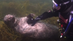 Ӣ��ǱˮԱ�������ƺ��� �ദ��г����ܰ