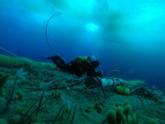 �Ĵ������о���Ա���ϼ�����������ϵ�һ�����׺����ữʵ��