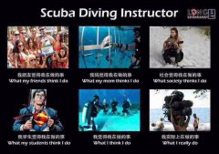 �ᱼ������ȥǱˮ