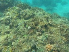 ̨��Ѷ�ɺ����Ⱥ �ݹ����ֵ40��̨��