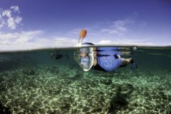 <b>Tribord���¸�Ǳ����ʵ��ˮ�����ɺ���</b>