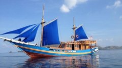 ӡ��һ���ɶ�����Ŀ��ʻ����Ī��Ⱥ���Ĵ�ֻ���³�û������15����