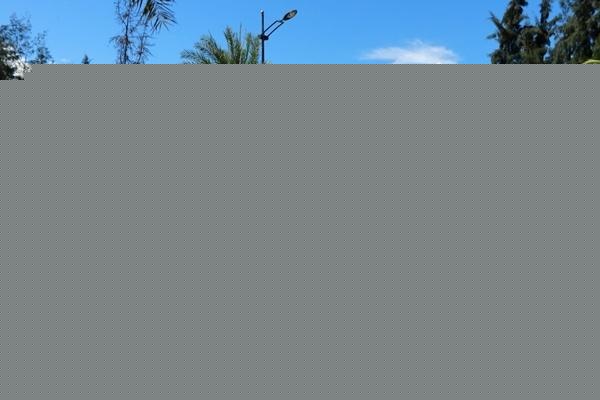 18�����Ů������Ǳˮ�����Ϯ������ �����߱�����